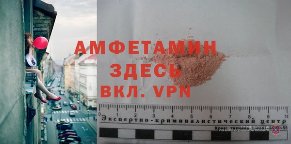 индика Верхний Тагил