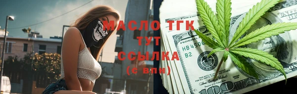 индика Верхний Тагил