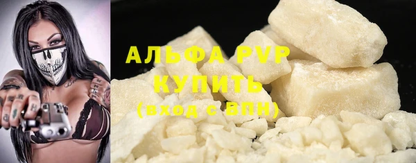 индика Верхний Тагил