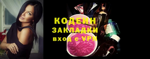 индика Верхний Тагил