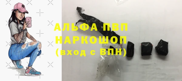 индика Верхний Тагил