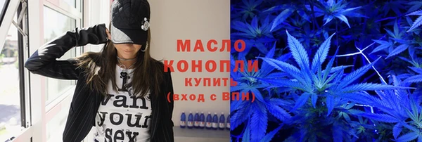 индика Верхний Тагил
