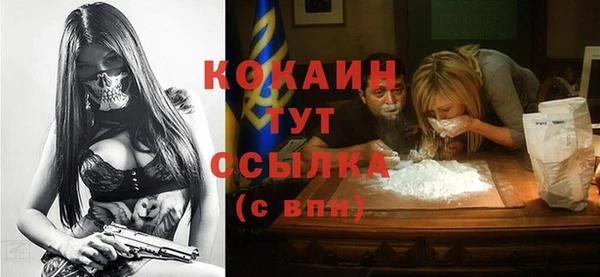 индика Верхний Тагил