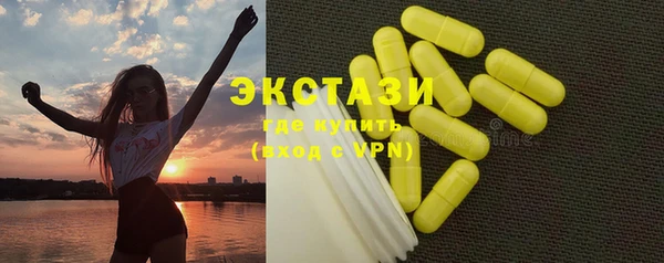 индика Верхний Тагил