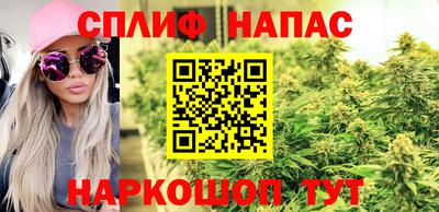 винт Донецк